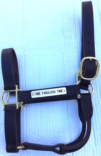 LEATHER TRACK HALTER - Click Image to Close